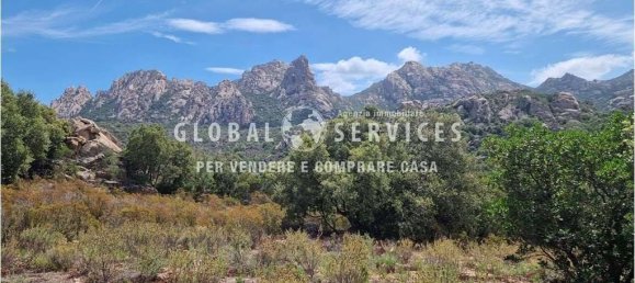 Вилла с 3 спальнями в Ольбия, Италия № 59830 30