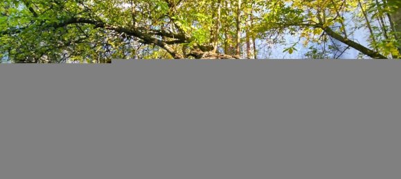 10غرفة منزل في Siligo, Italy رقم 212134 27