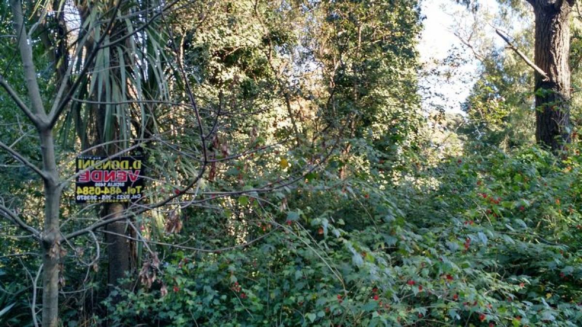  Land in Mar del Plata, Argentina No. 113683