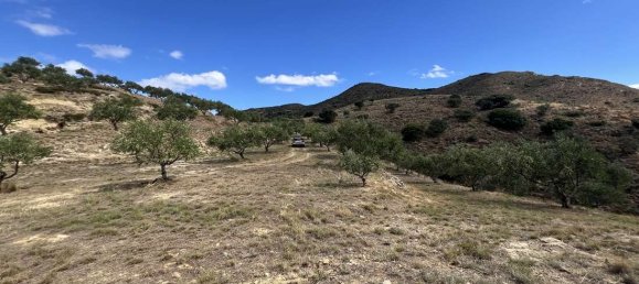 terreno en venta en Zakynthos, Ionian Islands, Peloponnese, Western Greece and the Ionian, Greece № 8635 16