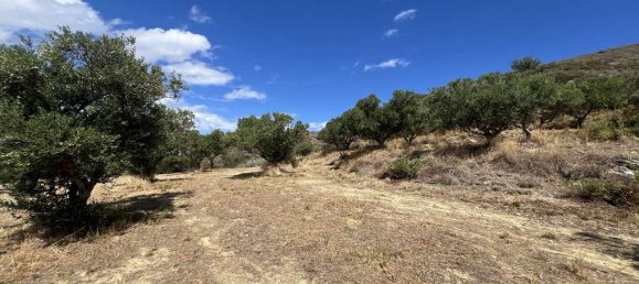 terreno en venta en Zakynthos, Ionian Islands, Peloponnese, Western Greece and the Ionian, Greece № 8635 15