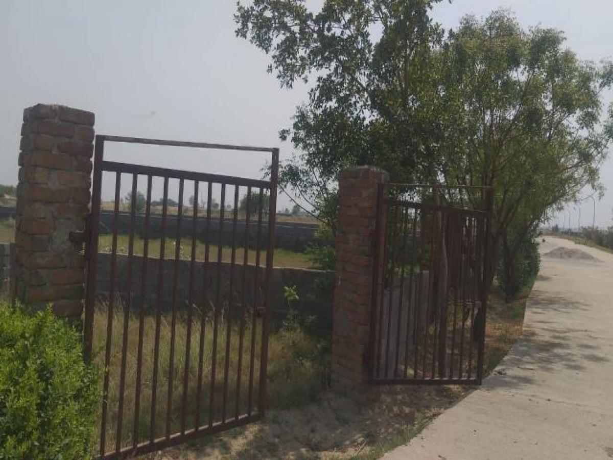  Land in Noida, India No. 66191