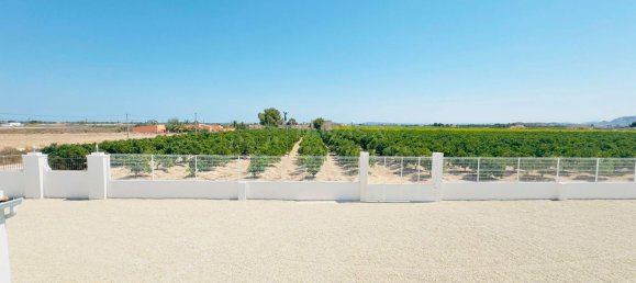 9 bedrooms House in Albatera, Spain No. 88031 36