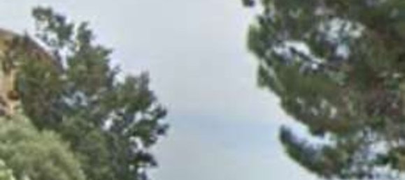 3 rooms Apartment in Olbia, Italy No. 13439 21