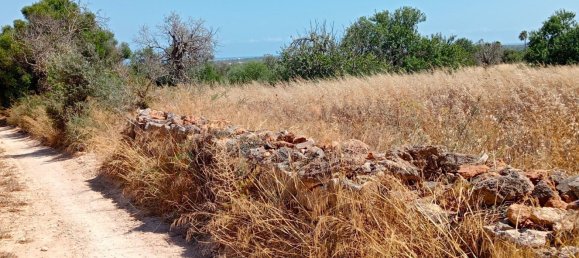 Imóvel comercial em Santanyi, Spain N.º 168262 9