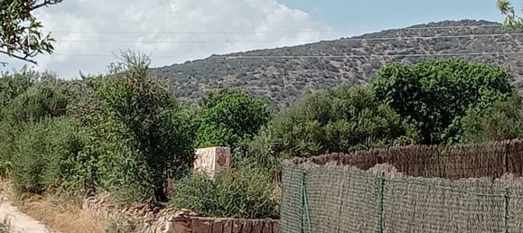 Imóvel comercial em Santanyi, Spain N.º 168262 3