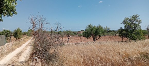 Imóvel comercial em Santanyi, Spain N.º 168262 8