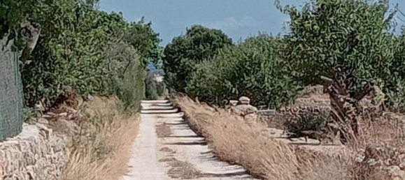 Imóvel comercial em Santanyi, Spain N.º 168262 2