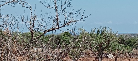 Imóvel comercial em Santanyi, Spain N.º 168262 7