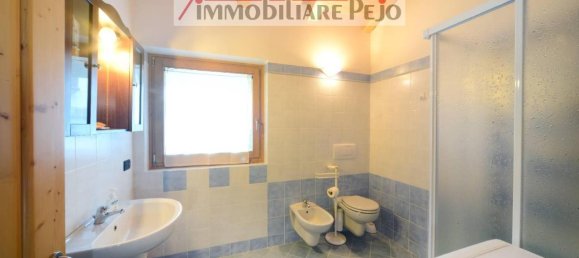 4 rooms Penthouse in Peio, Italy No. 33304 21