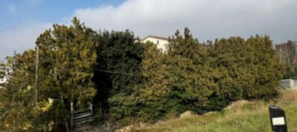 4465m² Warehouse in Verona, Italy No. 376382 6