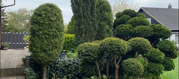 Apartamento de 4 divisões em Wolfsburg, Germany N.º 34987 15