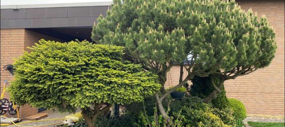 Apartamento de 4 divisões em Wolfsburg, Germany N.º 34987 16