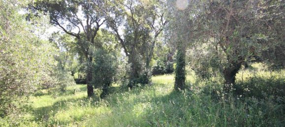 2 rooms House in Sassetta, Italy No. 114852 37