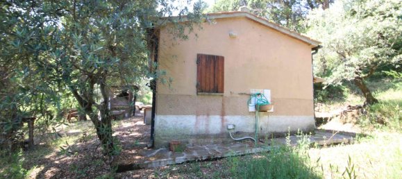2 rooms House in Sassetta, Italy No. 114852 14