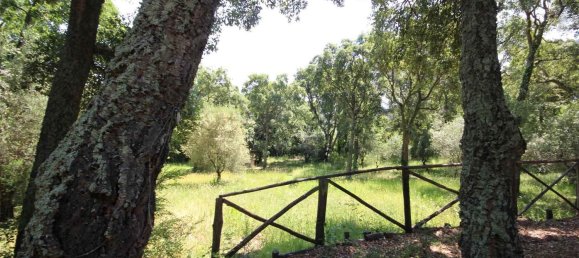 2 rooms House in Sassetta, Italy No. 114852 31