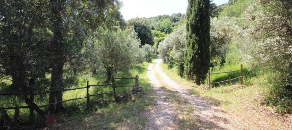 2 rooms House in Sassetta, Italy No. 114852 35