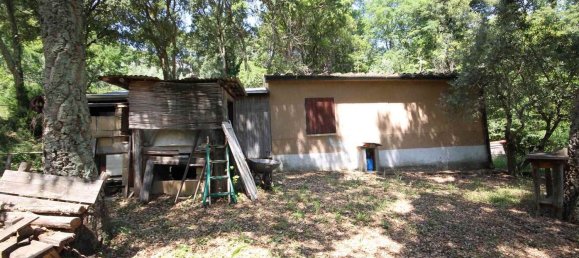 2 rooms House in Sassetta, Italy No. 114852 8