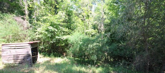 2 rooms House in Sassetta, Italy No. 114852 29