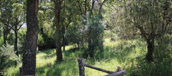 2 rooms House in Sassetta, Italy No. 114852 36