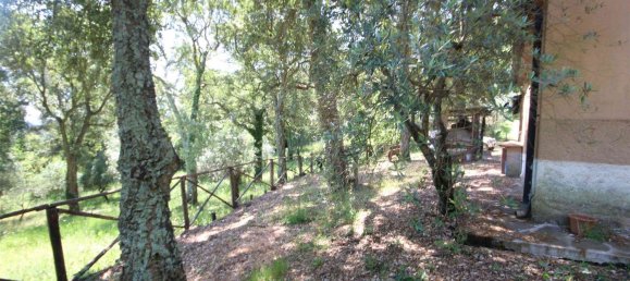 2 rooms House in Sassetta, Italy No. 114852 28