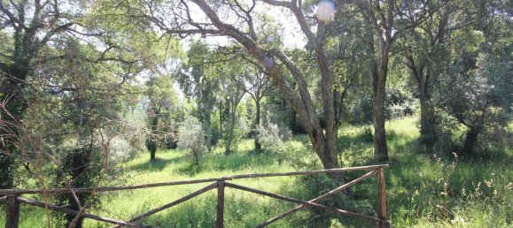 2 rooms House in Sassetta, Italy No. 114852 34