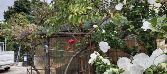 2 rooms House in Gollersdorf, Austria No. 248300 6