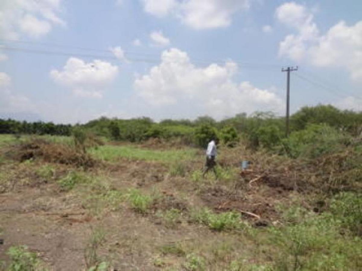  Land in Coimbatore, India No. 30171
