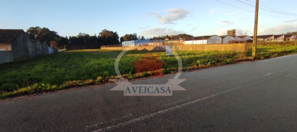 Land in Ilhavo, Portugal No. 97078 3