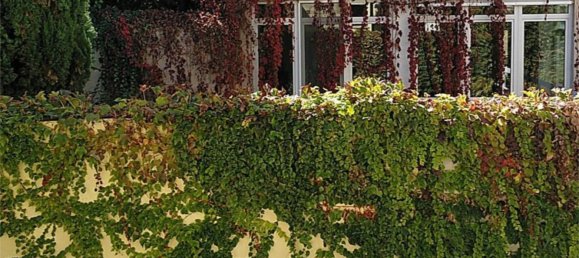 Adosado de 6 dormitorios en Salamanca, Spain No. 165766 28