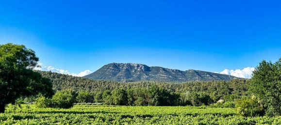 4 bedrooms Duplex in Correns, France No. 205651 12