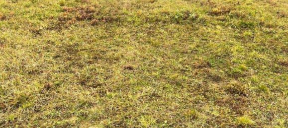 Terreno em Olbendorf, Austria N.º 242994 2