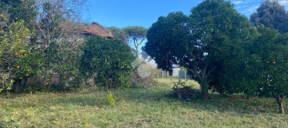 3 Schlafzimmer Haus in Latina, Italy, Nr. 329442 14