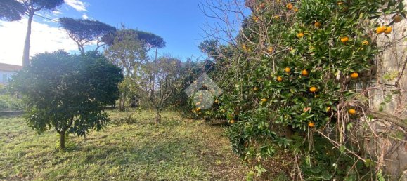 3 Schlafzimmer Haus in Latina, Italy, Nr. 329442 3