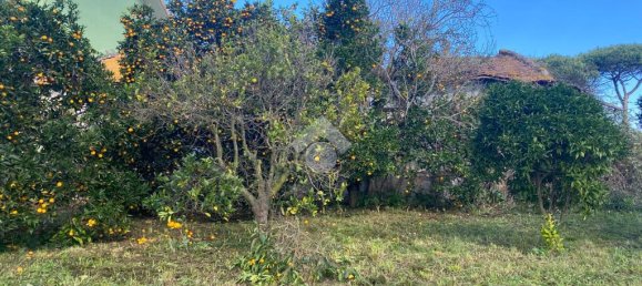 3 Schlafzimmer Haus in Latina, Italy, Nr. 329442 5