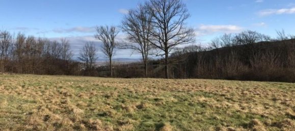  Land in Tulbing, Austria No. 33309 7