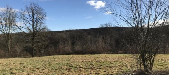  Land in Tulbing, Austria No. 33309 9