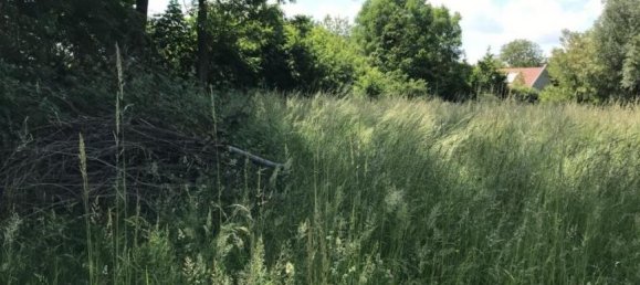  Land in Tulbing, Austria No. 33309 3