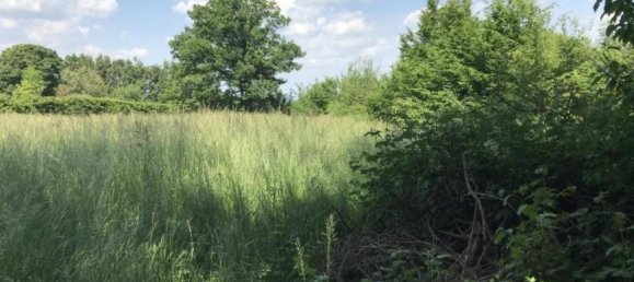  Land in Tulbing, Austria No. 33309 6