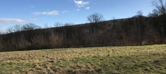  Land in Tulbing, Austria No. 33309 8