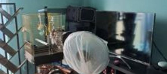 4-Zimmer Wohnung in Rho, Italy, Nr. 206839 26