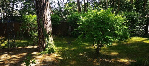 3 rooms Apartment in Oder-Spree, Germany No. 21980 6