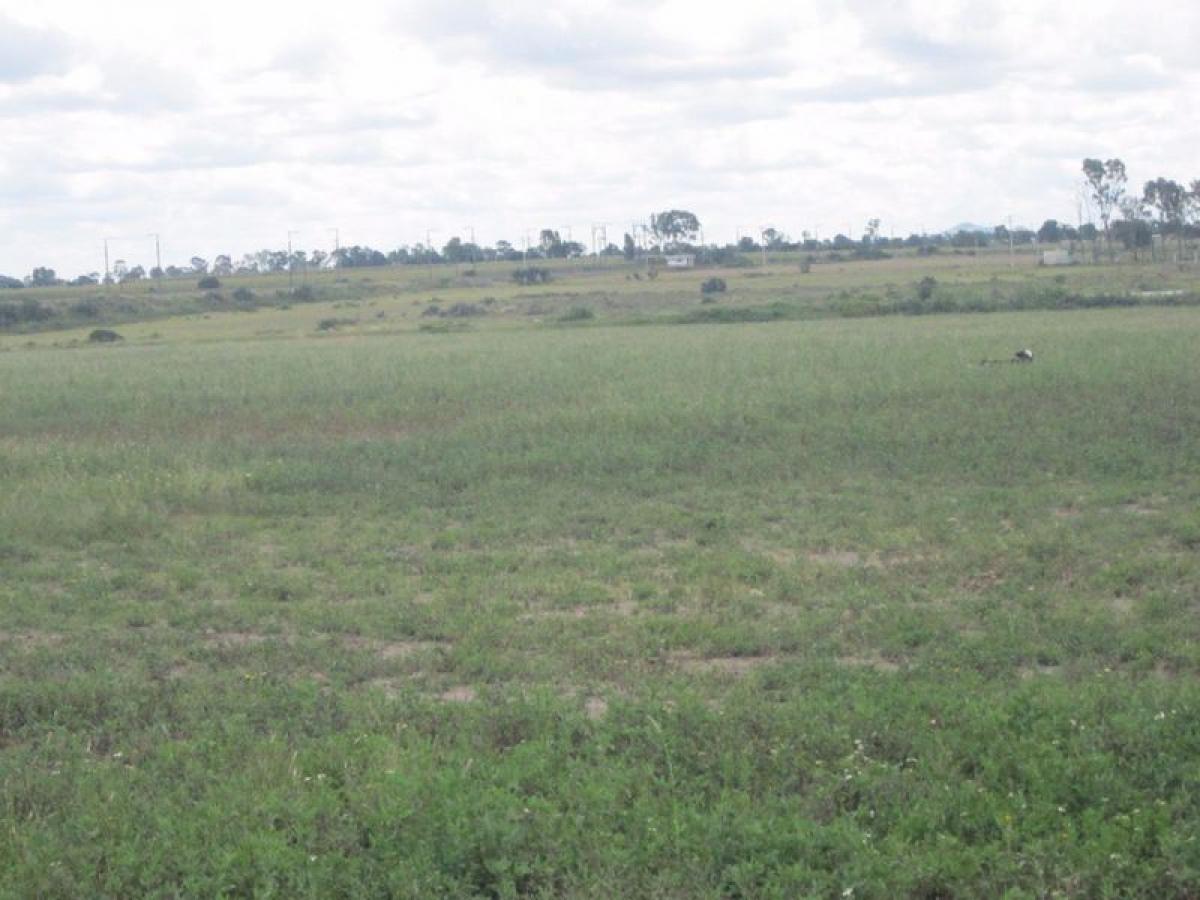 Земельный участок в Полотитлан, Мексика № 202935