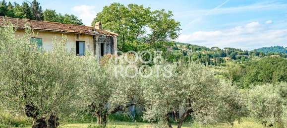 15 rooms House in Fiesole, Italy No. 201948 32
