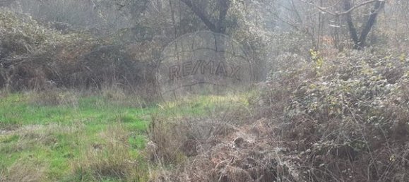 Grundstück in Arcos de Valdevez, Portugal 3500m², Nr. 92857 3