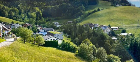  Land in Hallein, Austria No. 132107 3