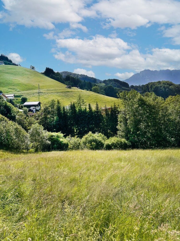  Land in Hallein, Austria No. 132107