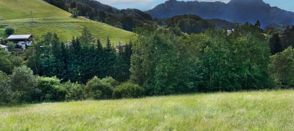  Land in Hallein, Austria No. 132107 2