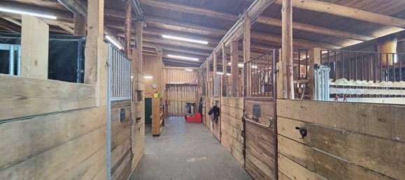 Propiedad comercial en Nestelbach bei Graz, Austria 120 m² No. 165856 17