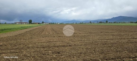 Studio in Villafranca Piemonte, Italy, Nr. 265972 19